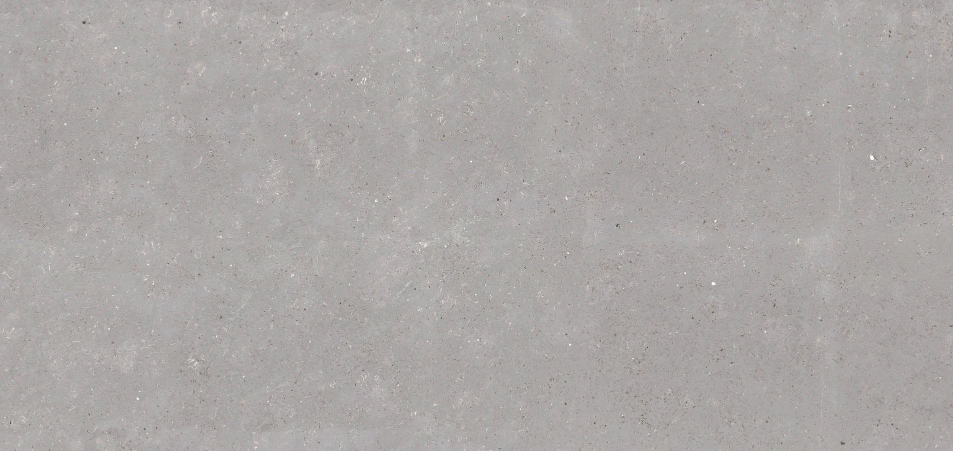 Dune Gray